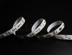 DMX512 RGBW SMD LED-strip