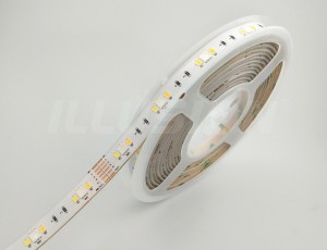 KIT STRISCIA LED RGB+CCT